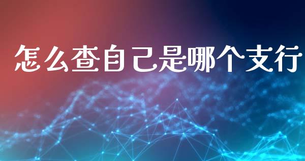 怎么查自己是哪个支行_https://cj002.lansai.wang_理财问答_第1张