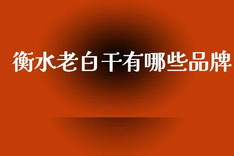 衡水老白干有哪些品牌_https://cj002.lansai.wang_财经百问_第1张