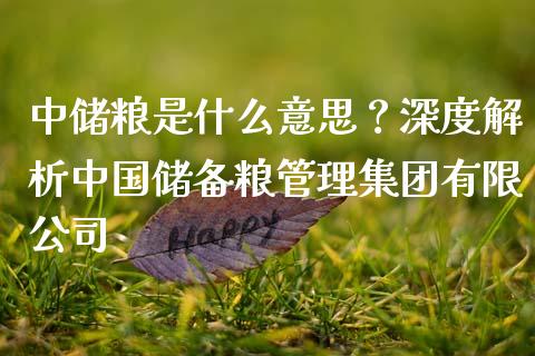 中储粮是什么意思？深度解析中国储备粮管理集团有限公司_https://cj002.lansai.wang_金融问答_第1张