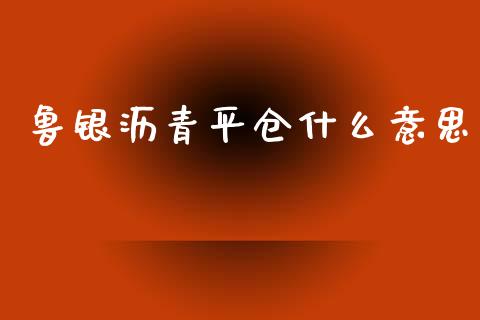 鲁银沥青平仓什么意思_https://cj002.lansai.wang_财经问答_第1张