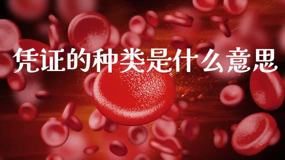 凭证的种类是什么意思_https://cj002.lansai.wang_会计问答_第1张