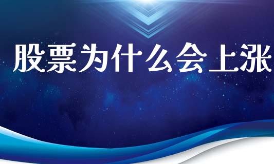 股票为什么会上涨_https://cj002.lansai.wang_保险问答_第1张
