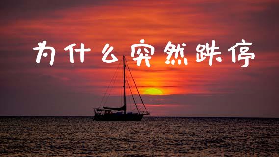 为什么突然跌停_https://cj002.lansai.wang_期货问答_第1张
