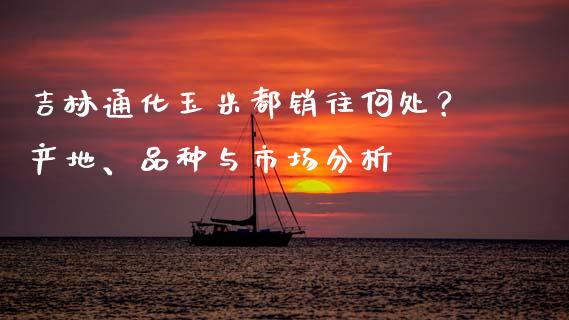 吉林通化玉米都销往何处？产地、品种与市场分析_https://cj002.lansai.wang_理财问答_第1张
