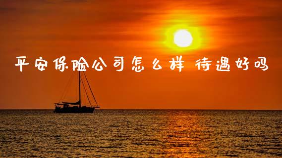 平安保险公司怎么样 待遇好吗_https://cj002.lansai.wang_保险问答_第1张