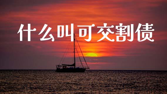 什么叫可交割债_https://cj002.lansai.wang_期货问答_第1张