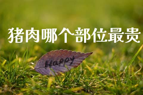 猪肉哪个部位最贵_https://cj002.lansai.wang_金融问答_第1张