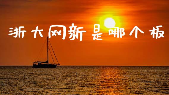 浙大网新是哪个板_https://cj002.lansai.wang_理财问答_第1张