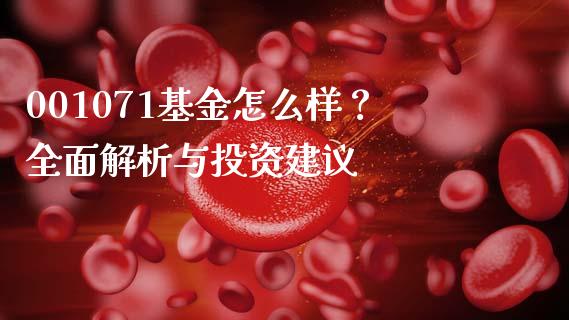 001071基金怎么样？全面解析与投资建议_https://cj002.lansai.wang_会计问答_第1张