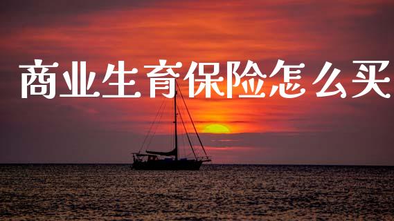 商业生育保险怎么买_https://cj002.lansai.wang_金融问答_第1张