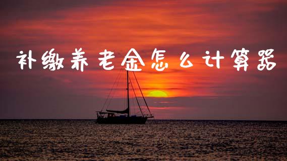 补缴养老金怎么计算器_https://cj002.lansai.wang_保险问答_第1张