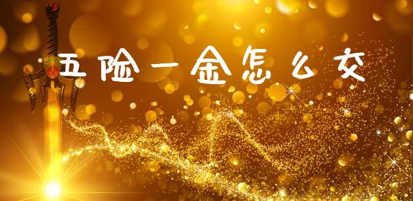 五险一金怎么交_https://cj002.lansai.wang_保险问答_第1张