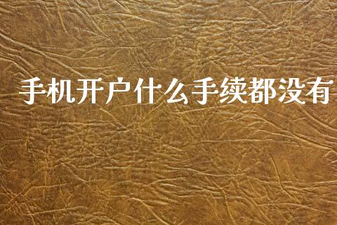 手机开户什么手续都没有_https://cj002.lansai.wang_金融问答_第1张