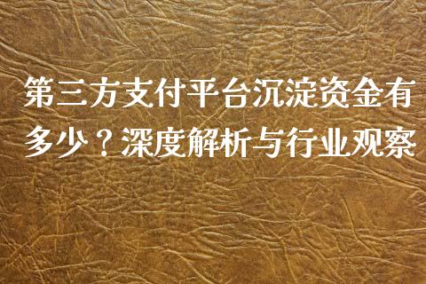 第三方支付平台沉淀资金有多少？深度解析与行业观察_https://cj002.lansai.wang_保险问答_第1张