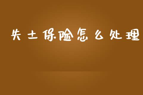 失土保险怎么处理_https://cj002.lansai.wang_保险问答_第1张