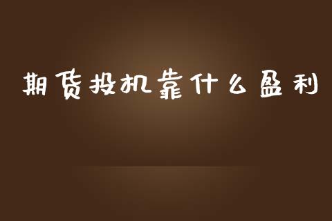 期货投机靠什么盈利_https://cj002.lansai.wang_财经问答_第1张
