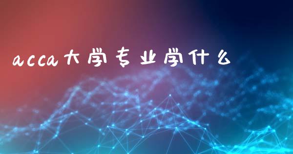 acca大学专业学什么_https://cj002.lansai.wang_会计问答_第1张