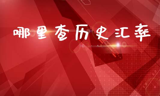 哪里查历史汇率_https://cj002.lansai.wang_财经问答_第1张
