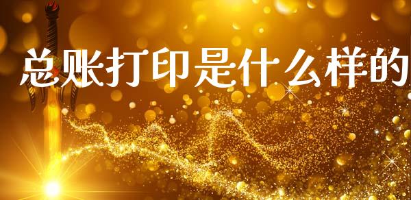 总账打印是什么样的_https://cj002.lansai.wang_会计问答_第1张