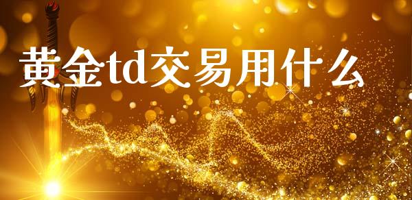 黄金td交易用什么_https://cj002.lansai.wang_财经问答_第1张