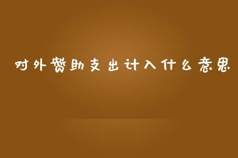 对外赞助支出计入什么意思_https://cj002.lansai.wang_会计问答_第1张