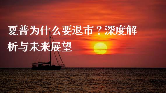 夏普为什么要退市？深度解析与未来展望_https://cj002.lansai.wang_会计问答_第1张