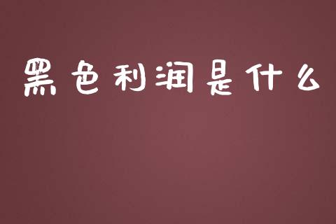 黑色利润是什么_https://cj002.lansai.wang_会计问答_第1张