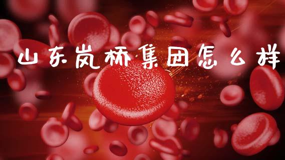 山东岚桥集团怎么样_https://cj002.lansai.wang_期货问答_第1张