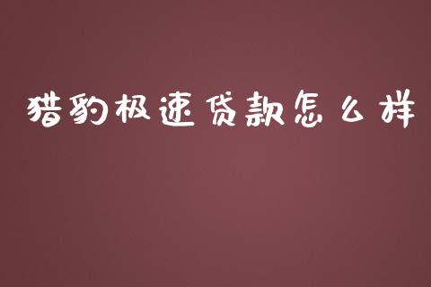 猎豹极速贷款怎么样_https://cj002.lansai.wang_理财问答_第1张