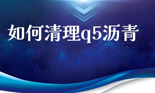 如何清理q5沥青_理财问答_第1张_财经百问网 如何清理q5沥青_https://cj002.lansai.wang_理财问答_第1张