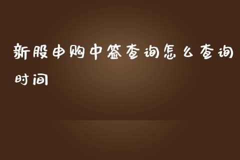 新股申购中签查询怎么查询时间_https://cj002.lansai.wang_股市问答_第1张