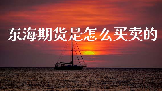 东海期货是怎么买卖的_https://cj002.lansai.wang_财经问答_第1张