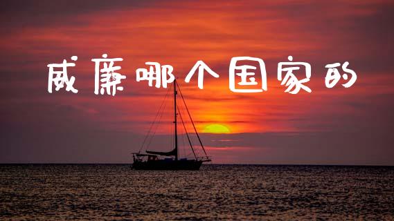 威廉哪个国家的_https://cj002.lansai.wang_保险问答_第1张