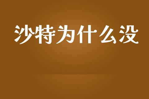 沙特为什么没_https://cj002.lansai.wang_财经百问_第1张