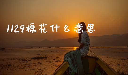 1129棉花什么意思_https://cj002.lansai.wang_财经问答_第1张