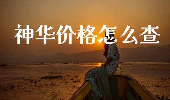 神华价格怎么查_https://cj002.lansai.wang_股市问答_第1张