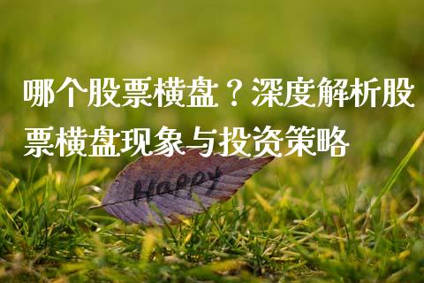哪个股票横盘？深度解析股票横盘现象与投资策略_https://cj002.lansai.wang_金融问答_第1张