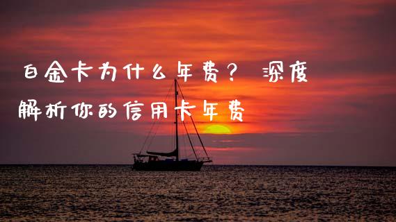 白金卡为什么年费？ 深度解析你的信用卡年费_https://cj002.lansai.wang_保险问答_第1张