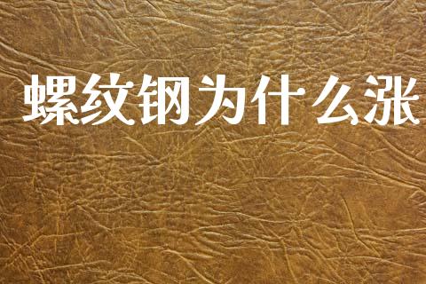 螺纹钢为什么涨_https://cj002.lansai.wang_期货问答_第1张