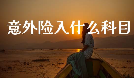 意外险入什么科目_https://cj002.lansai.wang_会计问答_第1张