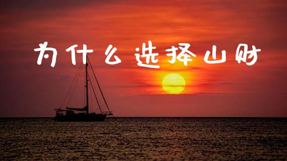 为什么选择山财_https://cj002.lansai.wang_会计问答_第1张