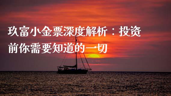 玖富小金票深度解析：投资前你需要知道的一切_https://cj002.lansai.wang_会计问答_第1张