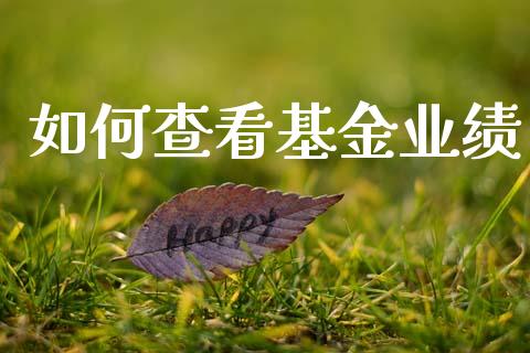 如何查看基金业绩_https://cj002.lansai.wang_期货问答_第1张