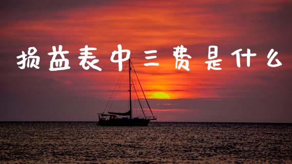 损益表中三费是什么_https://cj002.lansai.wang_会计问答_第1张