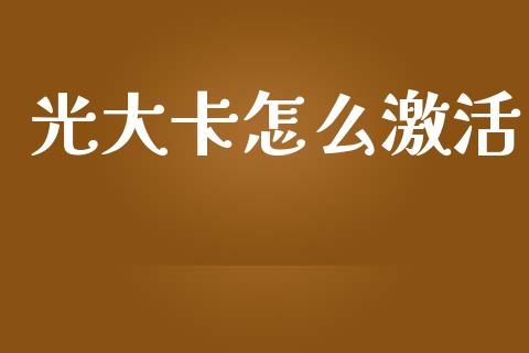 光大卡怎么激活_https://cj002.lansai.wang_金融问答_第1张