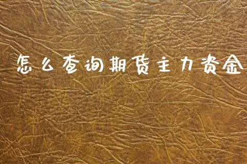 怎么查询期货主力资金_https://cj002.lansai.wang_股市问答_第1张