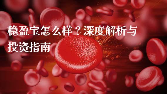 稳盈宝怎么样？深度解析与投资指南_https://cj002.lansai.wang_会计问答_第1张