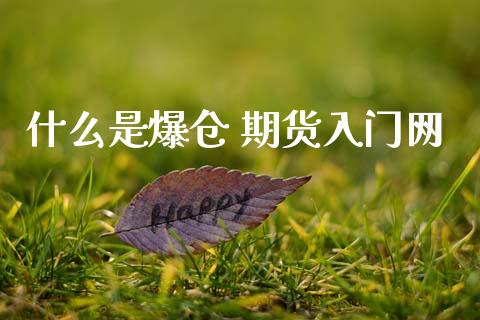 什么是爆仓 期货入门网_保险问答_第1张_财经百问网 什么是爆仓 期货入门网_https://cj002.lansai.wang_保险问答_第1张