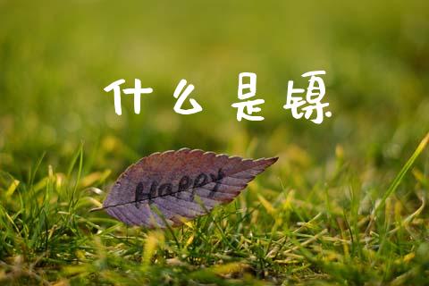 什么是镍_财经问答_第1张_财经百问网 什么是镍_https://cj002.lansai.wang_财经问答_第1张