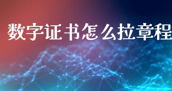 数字证书怎么拉章程_https://cj002.lansai.wang_金融问答_第1张